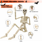 2 Pack 36"Halloween Skeleton - 3 Ft Life Size Human Skeleton With Full Body Posable Joints Plastic Skeleton For Halloween Skeletons Decor Yard Patio Lawn Garden Skeleton Props Spooky Party Decoration