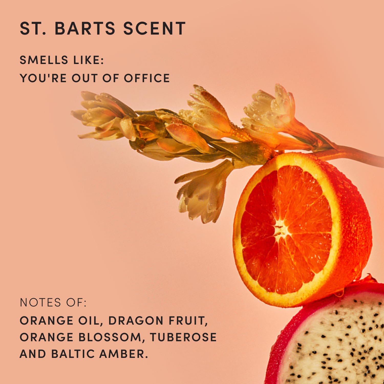 Ouai Body Cleanser, St. Barts - Foaming Body Wash With Jojoba Oil And Rosehip Oil To Hydrate, Nurture, Balance And Soften Skin - Paraben, Phthalate And Sulfate Free Skin Care Products (10 Fl Oz)