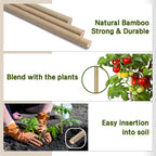 Plant Stakes,18 Inches Natural Garden Bamboo Sticks,Bovitro 20Pcs Plant Support Stakes For Tomatoes,Beans,Vegetable And Potted Plants
