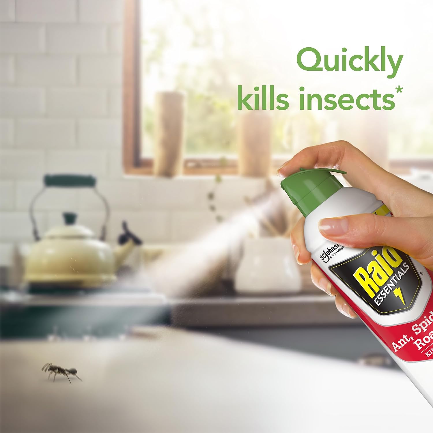 Raid Essentials Ant, Spider & Roach Killer Aerosol Spray, Child & Pet Safe, Kills Insects Quickly, For Indoor Use, Rosemary Mint Scent, 10 Fl Oz