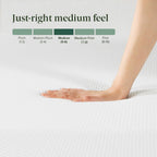 Zinus 10 Inch Green Tea Cooling Memory Foam Mattress [New Version], Queen, Fiberglass Free, Medium Firmness, Cooling Gel Foam, Certified Safe Foams & Fabric, Mattress In A Box