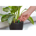 Miracle-Gro Indoor Plant Food Spikes, 48 Spikes (2-Pack) | Continuous Feeding For All Flowering And Foliage Houseplants, Npk 6-12-6