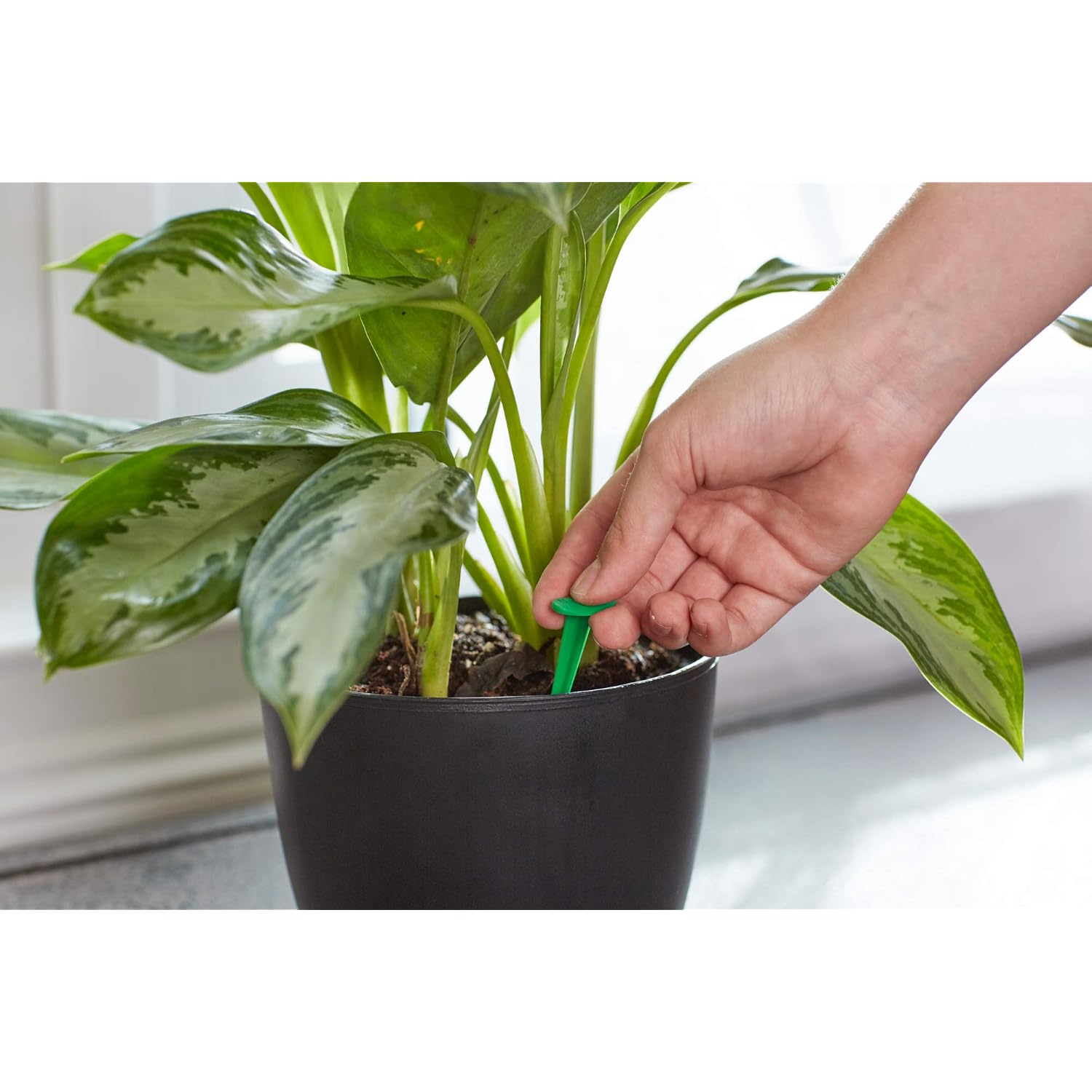 Miracle-Gro Indoor Plant Food Spikes, 48 Spikes (2-Pack) | Continuous Feeding For All Flowering And Foliage Houseplants, Npk 6-12-6