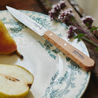 Opinel No. 112 Paring Knives 2 Piece Set, Sandvik 12C27 Steel Everyday Use Prep Knives For Chopping, Peeling, Slicing, Trimming, Stabilized Sustainably Harvested Beechwood Handles, Made In France