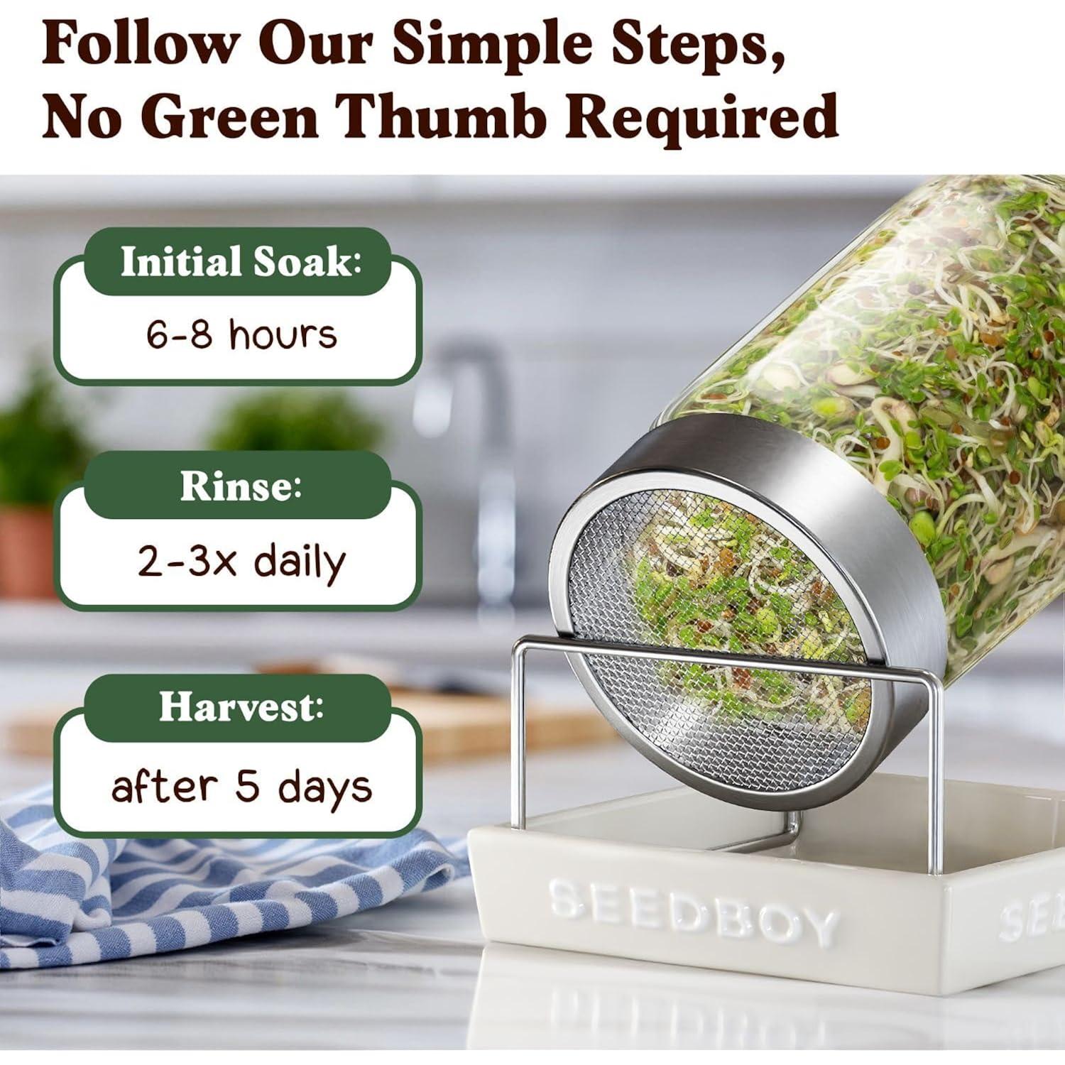Organic Non-Gmo Sprouting Seeds, Fresh Salad Blend - Usa Grown Microgreens Mix With Alfalfa, Broccoli, Radish, Mung Bean & Lentil - 8 Oz Bag Makes 8 Quarts / 32 Servings (Salad Blend)