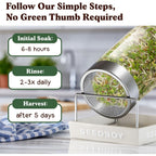 Organic Non-Gmo Sprouting Seeds, Fresh Salad Blend - Usa Grown Microgreens Mix With Alfalfa, Broccoli, Radish, Mung Bean & Lentil - 8 Oz Bag Makes 8 Quarts / 32 Servings (Salad Blend)