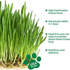 Cat Grass Seeds 4 Oz | Wheat & Oat Seeds Mix