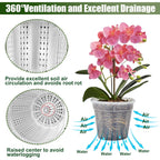 Orchid Pot, 2 Each Of 4.3",5.5",6.1" Orchid Pots With Holes, Orchid Pots For Repotting, Plastic Orchid Planter For Indoor Outdoor Plants (2 Each Of 4.3",5.5",6.1")