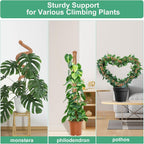 3 Pack Moss Pole, 50 Inch Monstera Plant Support, Tall Moss Poles For Climbing Plants Indoor Diy, Coco Coir Plant Pole Moss Plant Stick Support Stake Kit For Potted Plants, Pothos, Philodendron