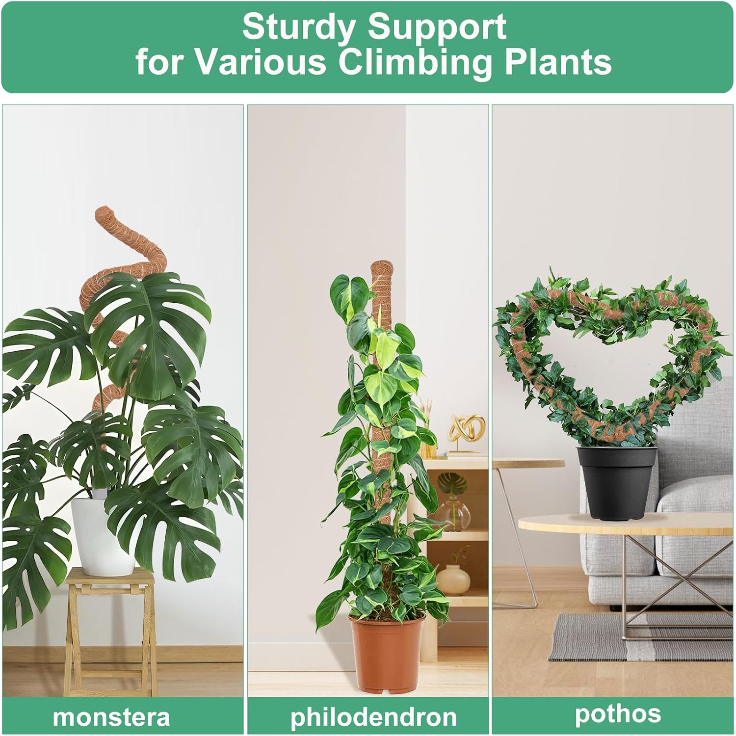 3 Pack Moss Pole, 50 Inch Monstera Plant Support, Tall Moss Poles For Climbing Plants Indoor Diy, Coco Coir Plant Pole Moss Plant Stick Support Stake Kit For Potted Plants, Pothos, Philodendron