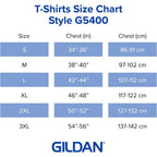 Gildan Adult Heavy Cotton Long Sleeve T-Shirt, Style G5400, 2-Pack