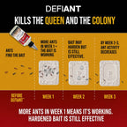 Catchmaster Defiant Premium Liquid Ant Killer, 1-Year Supply, Kills The Queen And Colony, No Mess Precision Bottle, Reusable Ant Traps Indoor & Outdoor, Pest Control Traps, Made In Usa