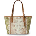 Medium Asher - Fern Williamette