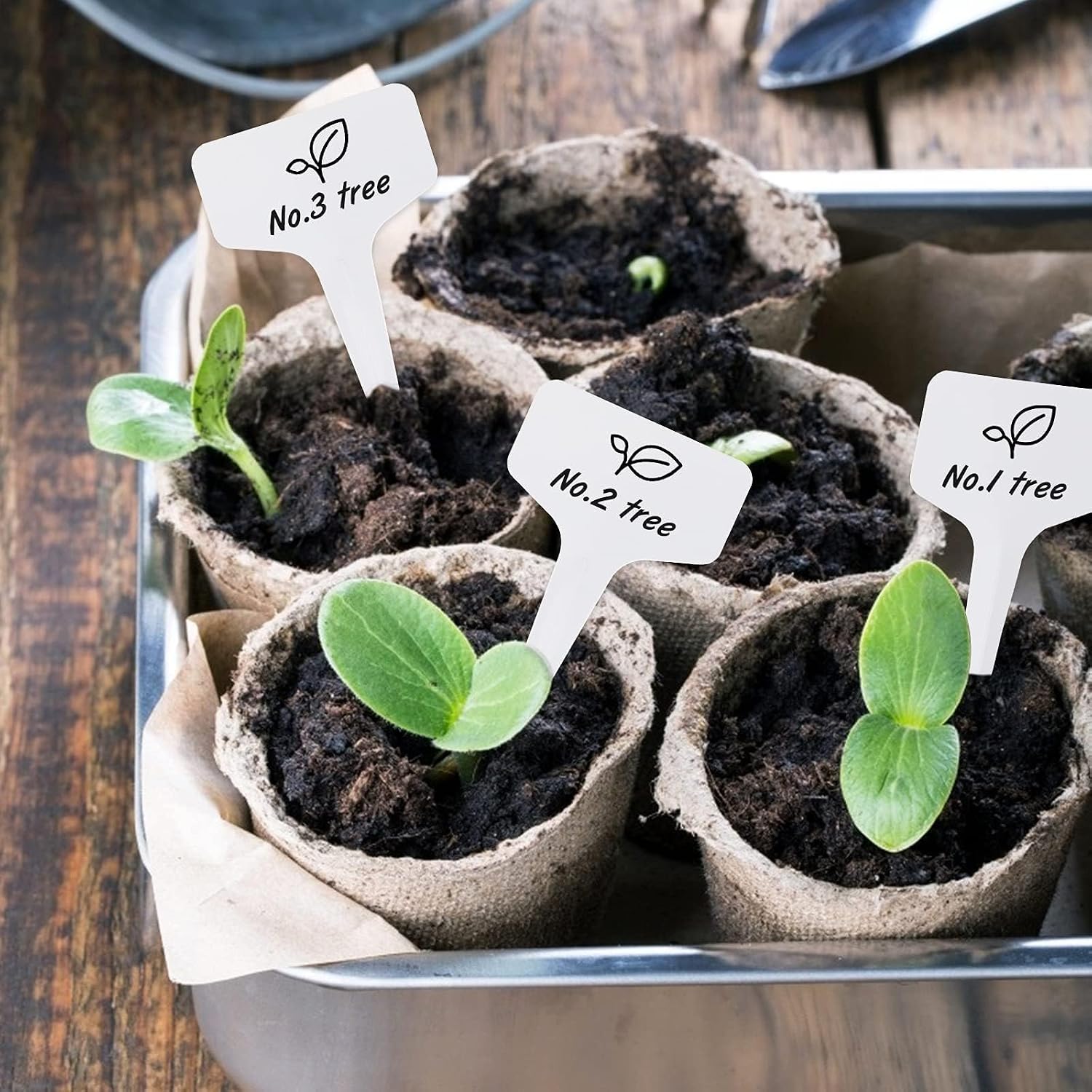 Kinglake 100 Pcs 6 X10Cm Plastic Plant T-Type Tags Nursery Garden Labels