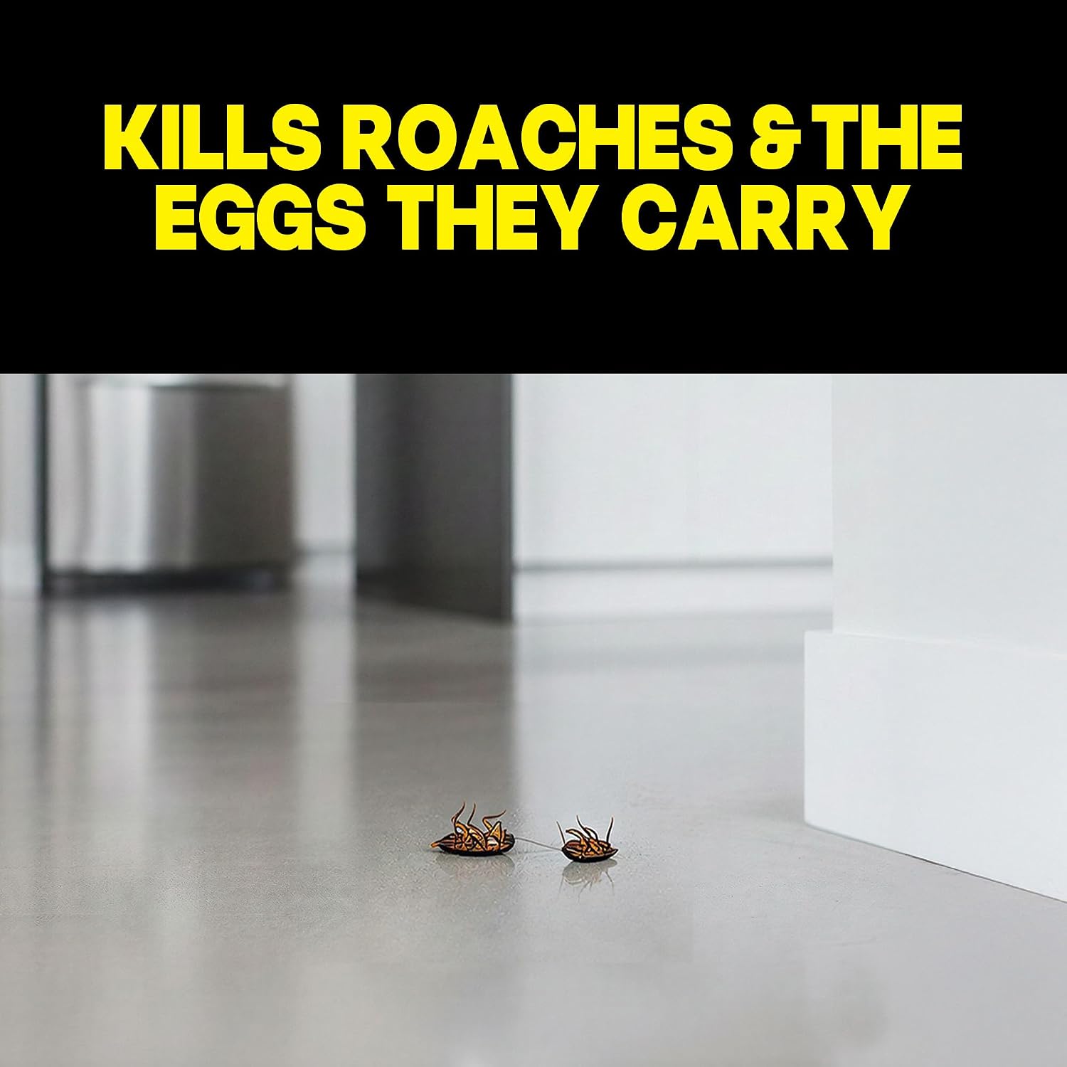 Raid Double Control, Large Roach Baits, 8 Ct (1)