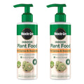 Miracle-Gro Indoor Plant Food For Cactus & Succulent, 8 Fl. Oz. (2-Pack) | Liquid Plant Food For Indoor Succulents And Cactus