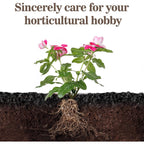 Sukh 1Qt Horticultural Charcoal For Plants - Organic Biochar Soil Amendment | Activated Charcoal For Plants, Succulents, Paphiopedilum, Bonsai, Terrarium, Gardening Potting Soil