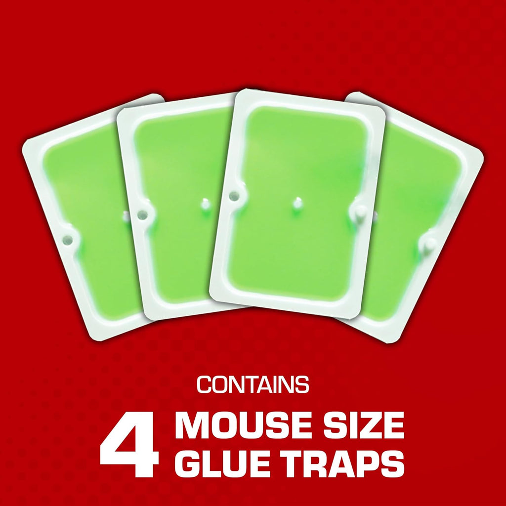 Tomcat Super Hold Glue Traps Mouse Size For Mice, Cockroaches, Spiders, And Scorpions, Ready-To-Use, 4 Traps | For Mice, Cockroaches, Spiders, And Scorpions, Ready-To-Use