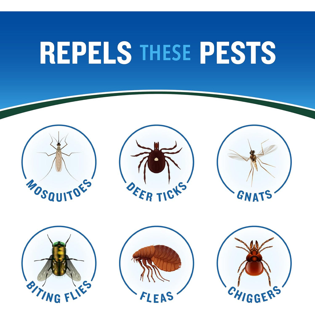 Cutter Backwoods Dry Insect Repellent, Aerosol, 4-Ounce