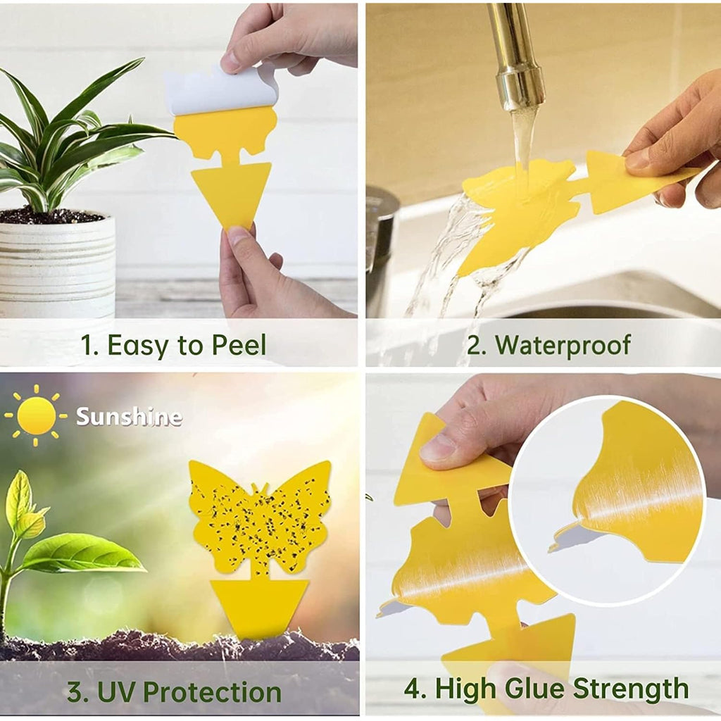 Yellow Sticky Fruit Fly Trap 36 Pack, Dual-Sided Gnat Traps For Plants | Catches Fungus Gnats, Fruit Fly, Whitefly, Aphid, Leaf Miner, No Harm & Odorless, Safe For Indoor Garden & Outdoor Plant Use