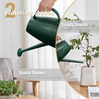 60 Oz Watering Can For Indoor Plants, Small Plastic Watering Cans With Removable Nozzle, Long Spout Indoor Water Can For House Plants, Garden Flowers (1.8L, 0.5 Gal)