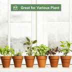 Orceler 4 Inch Terracotta Pots With Saucer - 6 Pack Small Clay Plant Pots With Drainage Holes, Flower Pots With Tray, Terra Cotta Pots For Indoor Outdoor Plants, Crafts, Wedding Favor