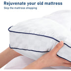 Bedluxury Queen Mattress Topper Extra Thick Pillowtop Mattress Pad Cover Cooling And Plush With 8-21 Inch Deep Pocket 3D Snow Down Alternative Fill