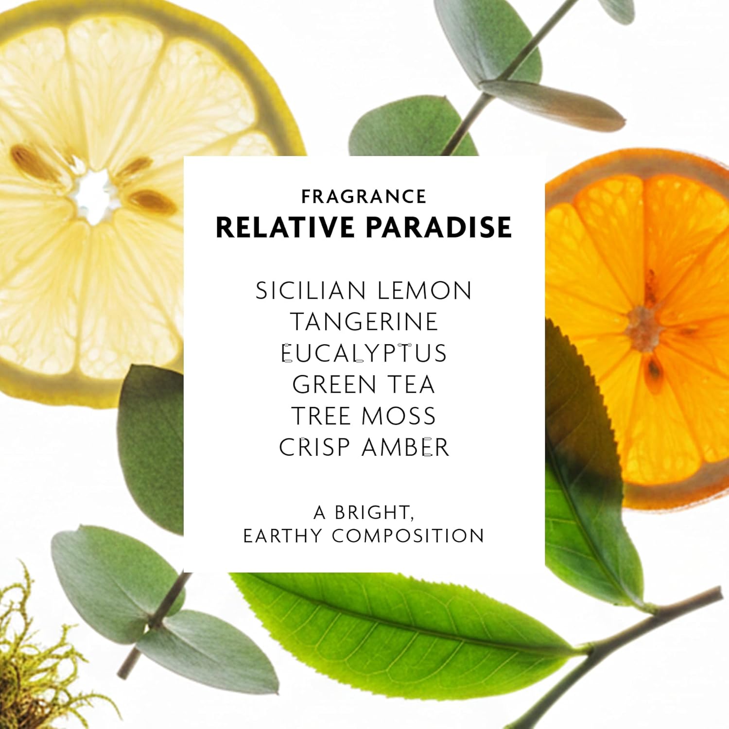 R+Co Badlands Dry Shampoo Paste | Part Dry Shampoo, Part Styling Paste | Adds Texture, Absorbs Oil, Matte Finish