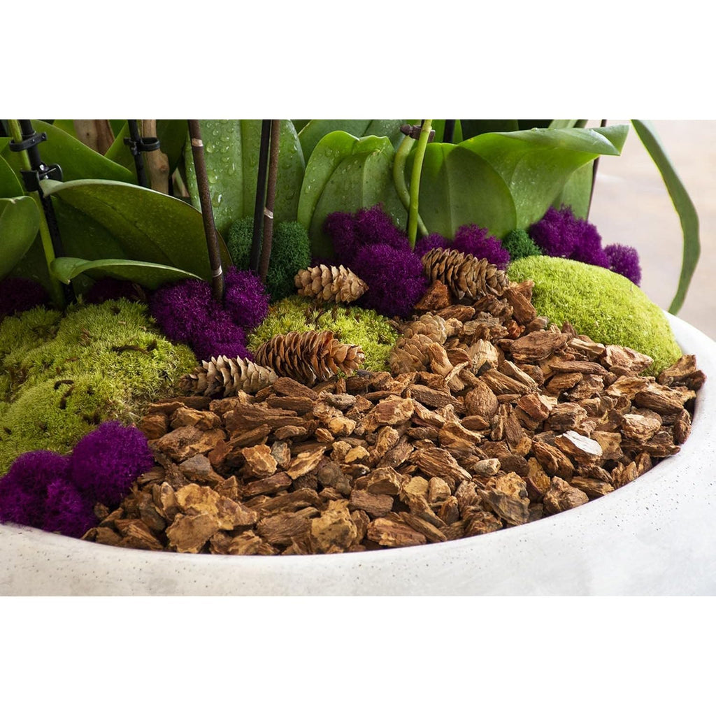 Supermoss (23114) Orchid Potting Bark, Natural, 4 Quarts