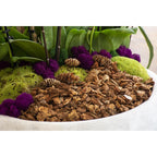 Supermoss (23114) Orchid Potting Bark, Natural, 4 Quarts