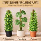 Moss Pole Monstera Plant Support, 2 Pack 28In Bendable Indoor Plant Stakes
