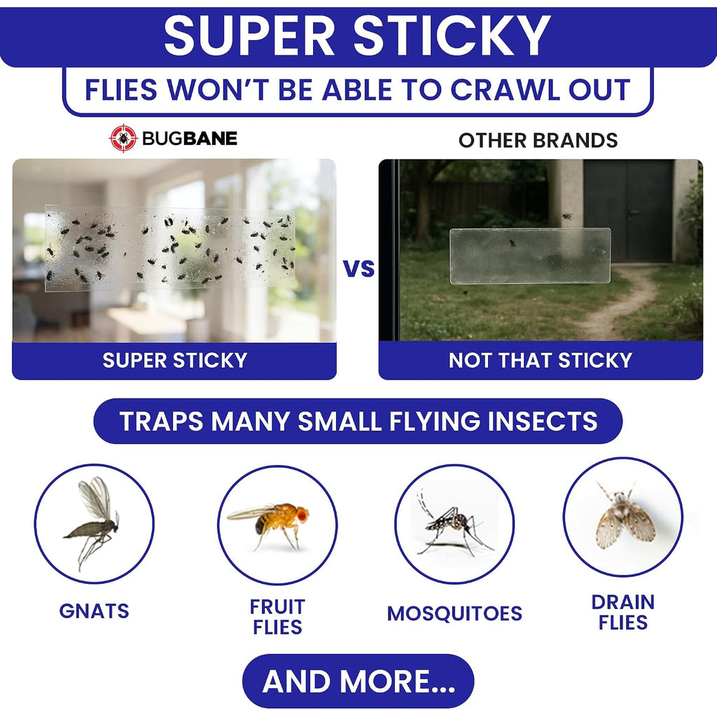 50 Window Fly Traps Sticky Non-Toxic Clear Fly Paper Indoor For Home. No Mess Flies Window Sticky Traps Bug Flies Strips Indoors. Fruit And Housefly Trap Indoor Flypaper Tape Gnat Catcher Killer