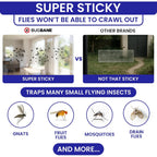 50 Window Fly Traps Sticky Non-Toxic Clear Fly Paper Indoor For Home. No Mess Flies Window Sticky Traps Bug Flies Strips Indoors. Fruit And Housefly Trap Indoor Flypaper Tape Gnat Catcher Killer