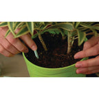 Miracle-Gro Indoor Plant Food Spikes, 48 Spikes (2-Pack) | Continuous Feeding For All Flowering And Foliage Houseplants, Npk 6-12-6