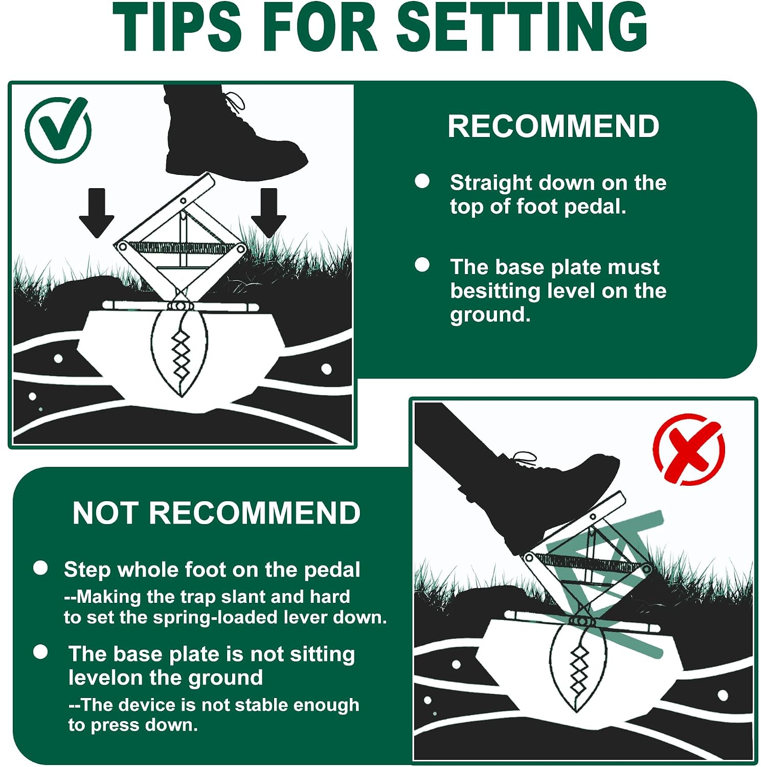 Mole Trap Scissor 2 Pack, Upgraded Mole Traps For Lawns That Kill Best, Galvanized Steel Mole Killer, Step Setup