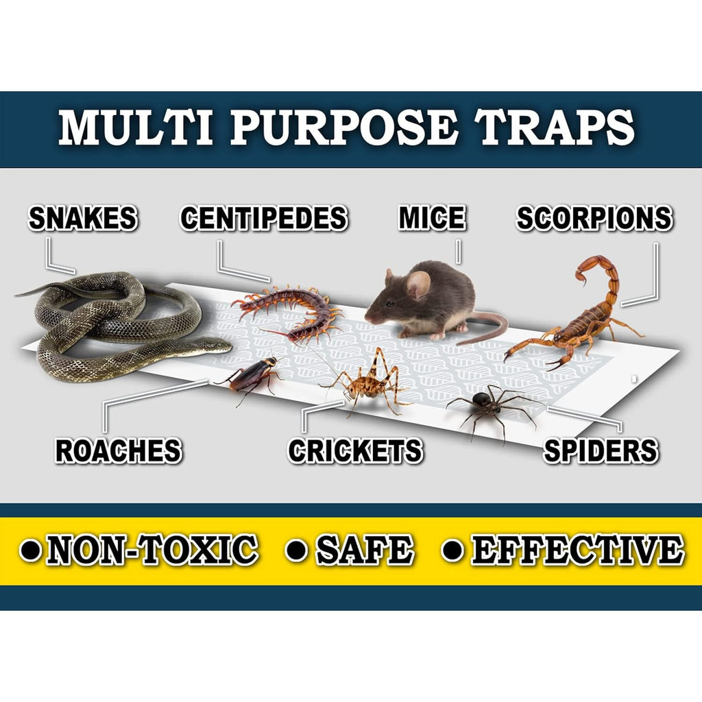 Maxguard Glue Trap Strips (24 Traps) Non-Toxic Extra Sticky Glue Board Pre-Baited With Fruity Scent Attractant Trap & Kill Insects, Bugs, Spiders, Crickets, Scorpions, Cockroaches, Centipedes, Mice