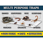 Maxguard Glue Trap Strips (24 Traps) Non-Toxic Extra Sticky Glue Board Pre-Baited With Fruity Scent Attractant Trap & Kill Insects, Bugs, Spiders, Crickets, Scorpions, Cockroaches, Centipedes, Mice