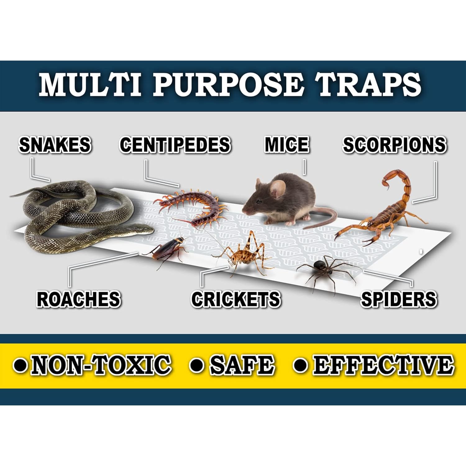 Maxguard Glue Trap Strips (24 Traps) Non-Toxic Extra Sticky Glue Board Pre-Baited With Fruity Scent Attractant Trap & Kill Insects, Bugs, Spiders, Crickets, Scorpions, Cockroaches, Centipedes, Mice