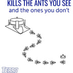 Terro T1804Sr Outdoor Ready-To-Use Liquid Ant Bait Killer And Trap - Kills Common Household Ants - 8 Bait Stations | Ready-To-Use Ant Killer Traps, Kills Common Household Ants Including Acrobat, Crazy, Ghost And Little Black Ants, T1804Sr