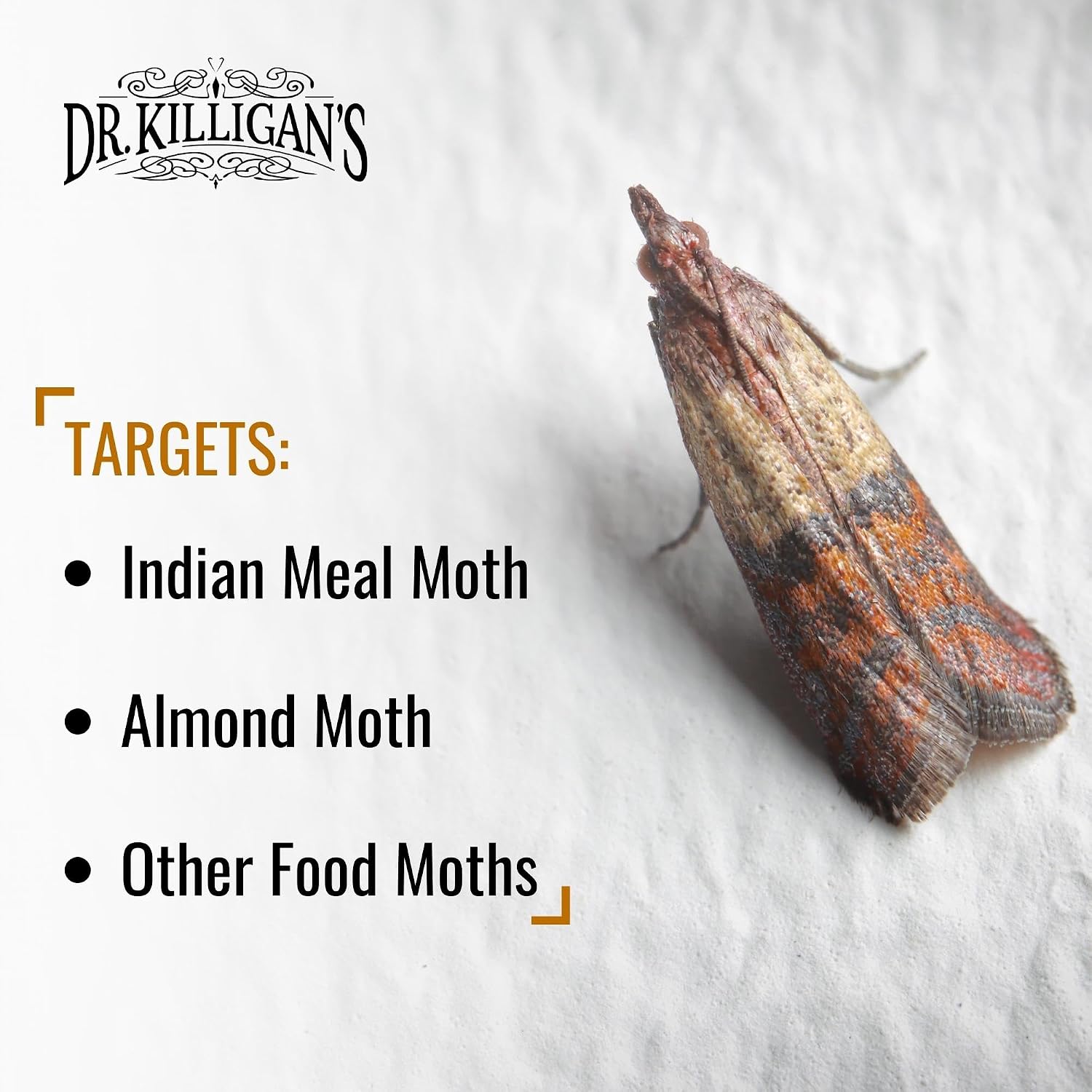 Dr. Killigan'S 6-Pack Pantry Moth Traps With Pheromones Prime - Premium Patented Double Strength Sticky Indian Meal Moth Traps For Kitchen And Pantry
