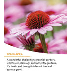 Burpee Wildflower 25,000 Bulk, 1 Bag, 18 Varieties Of Non-Gmo Flower Seeds Pollinator Garden, Pollinator Mix
