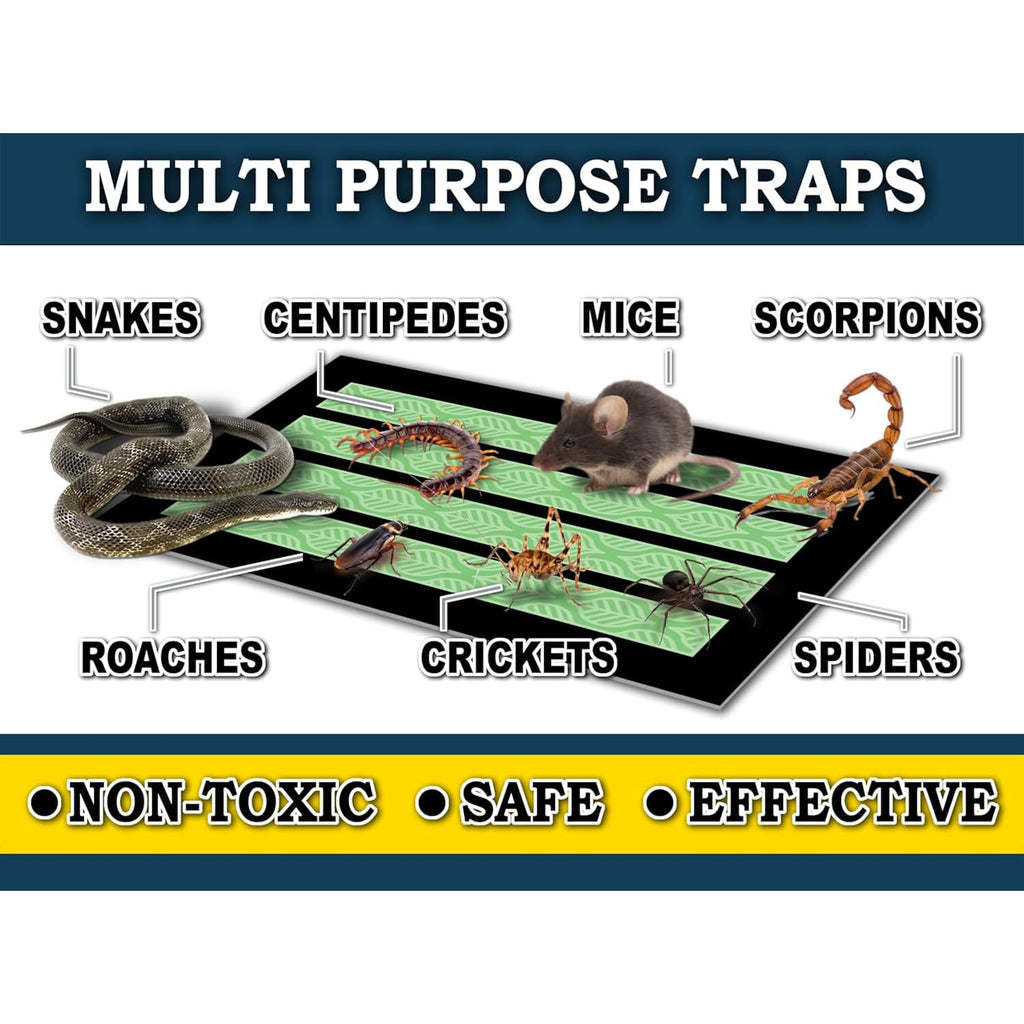 Maxguard Maxgrip Glue Traps (24 Traps) Non-Toxic Extra Sticky Glue Board Pre-Baited With Fruity Scent Attractant Trap & Kill Insects, Bugs, Spiders, Crickets, Scorpions, Cockroaches, Centipedes, Mice