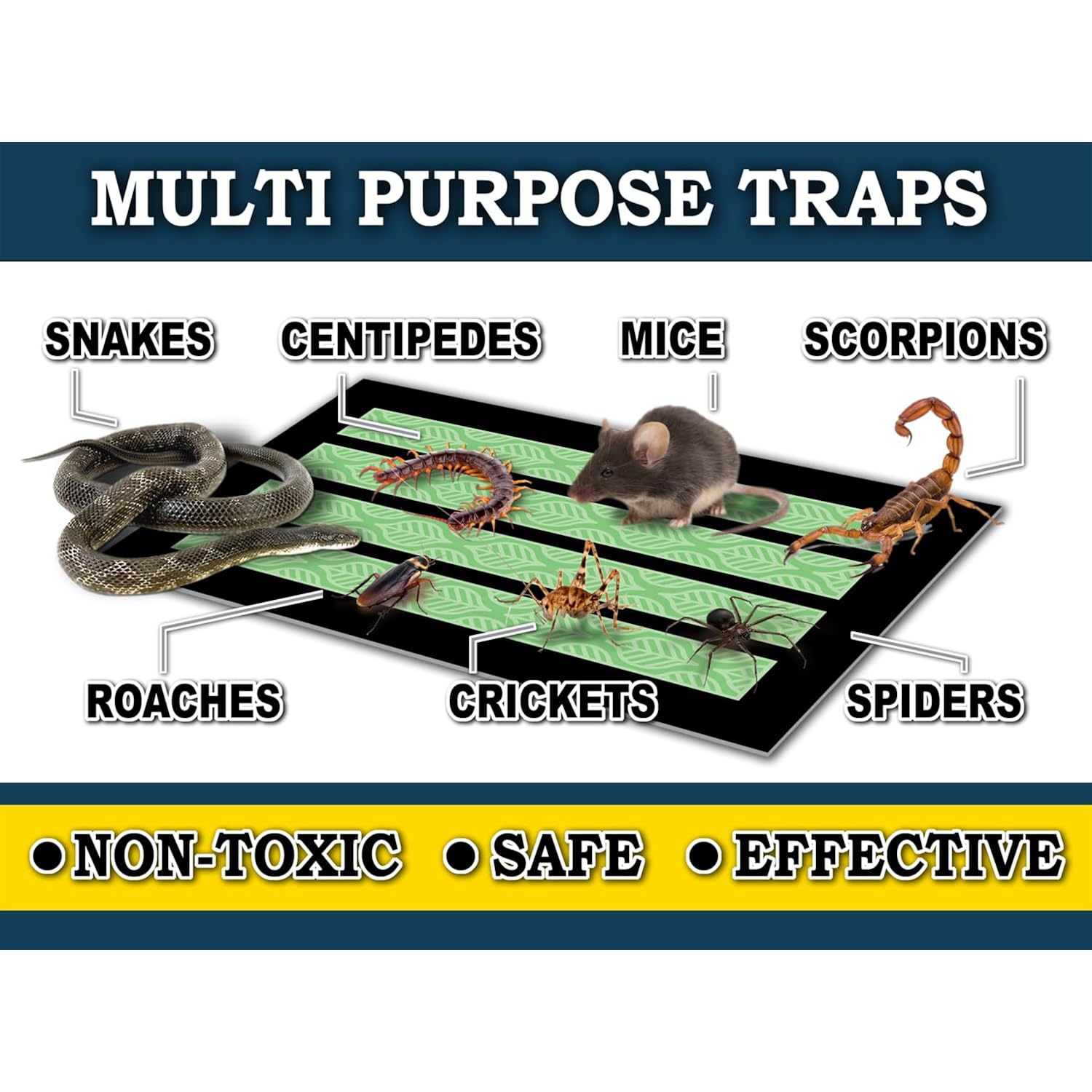 Maxguard Maxgrip Glue Traps (24 Traps) Non-Toxic Extra Sticky Glue Board Pre-Baited With Fruity Scent Attractant Trap & Kill Insects, Bugs, Spiders, Crickets, Scorpions, Cockroaches, Centipedes, Mice