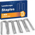 Whonline 75 Pack Landscape Staples 4 Inch, Galvanized Garden Stakes U-Shaped Sod Landscaping Fabric Pins Yard Ground Staples For Gardening Lawn Turf Securing Irrigation Pipe Hose Plant Cover