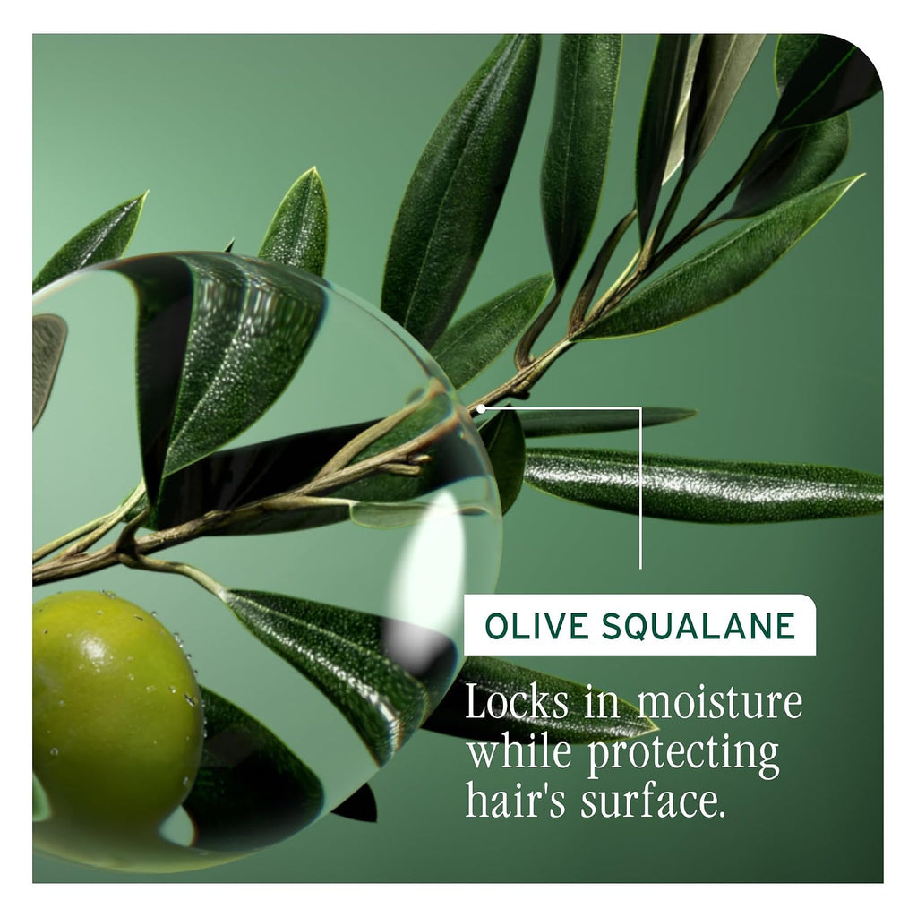 Biolage Strength Recovery Shampoo - Reduces Breakage & Detangles, Instantly Strengthens And Moisturizes, For Damaged Hair, With Olive Squalane & Vegan Proteins, Paraben & Mineral Oil-Free