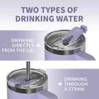 40 Oz Tumbler With Handle,Tumbler With Lid And Straw,Double Wall Insulated Cup Stainless Steel Travel Mug(Cold For 34 Hours),Water Bottle For Iced Tea,Coffee,Cold Beverages(Purple)