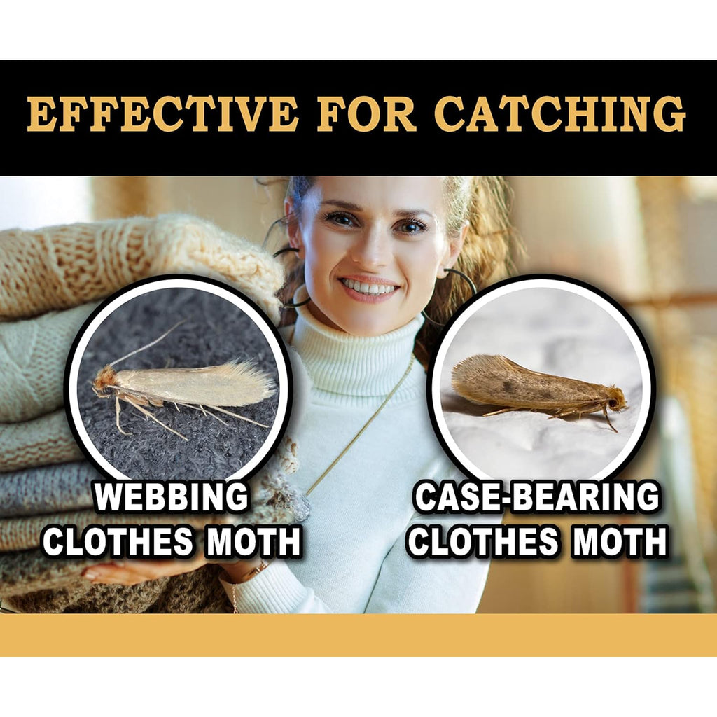 Maxguard Clothes Moth Traps (12+2 Free Traps) Extra Strength Pheromones | Non-Toxic Sticky Glue Trap For Closets And Carpet Moths | No Mothballs | Lure, Trap And Kill Case-Bearing Webbing Moths |