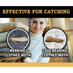 Maxguard Clothes Moth Traps (12+2 Free Traps) Extra Strength Pheromones | Non-Toxic Sticky Glue Trap For Closets And Carpet Moths | No Mothballs | Lure, Trap And Kill Case-Bearing Webbing Moths |