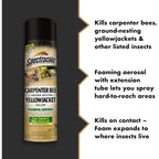 Spectracide Carpenter Bee And Ground-Nesting Yellowjacket Killer Foaming Aerosol 16 Ounces, Expands To Where Insects Live, Yellow