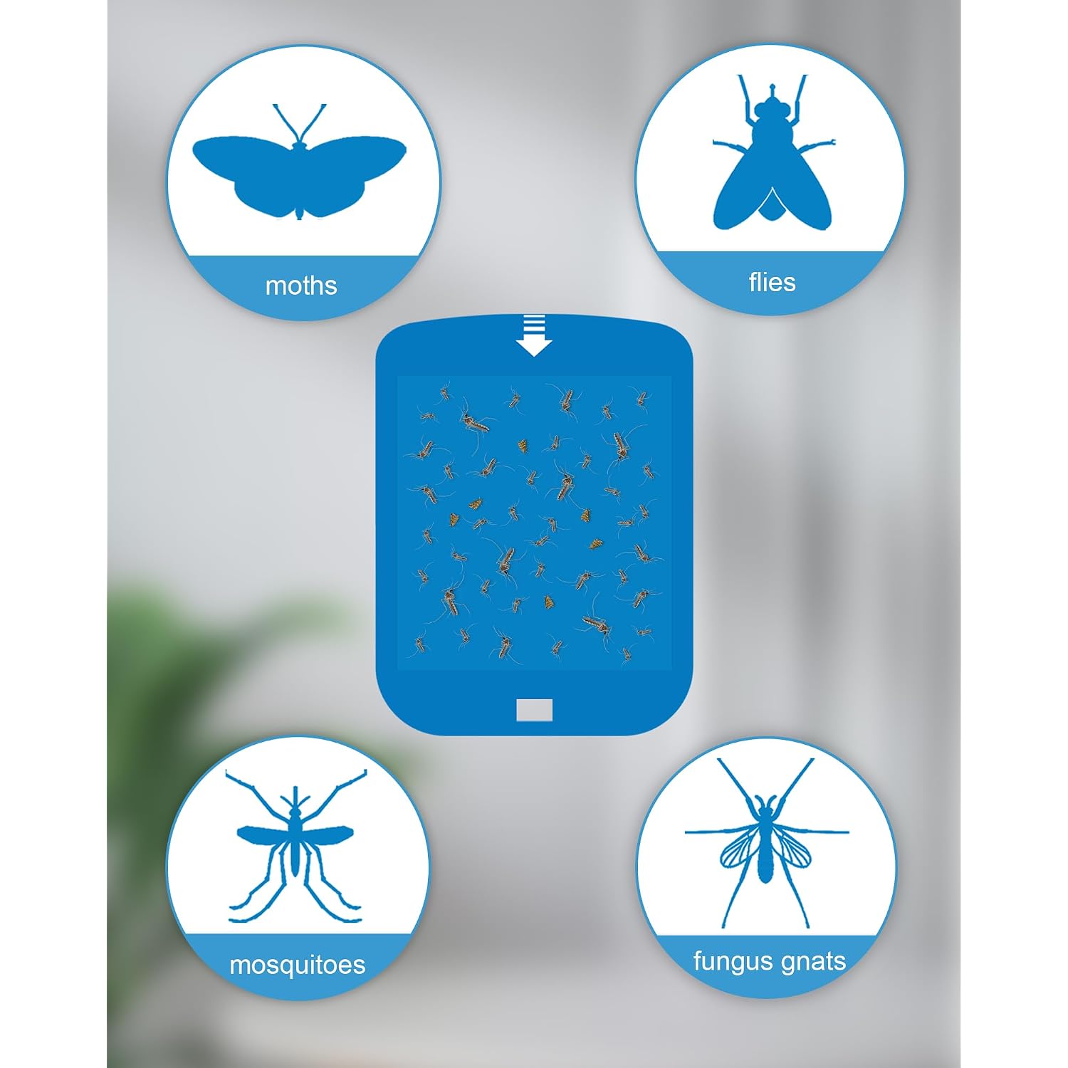 Shootingstar 10 Pcs Refill For Stem Blue Light Trap, Replacement Sticky Pads Compatible With Raid/Wondercide Flying Insect Light Trap Plug In